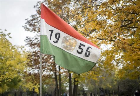 1956-os lyukas zászló