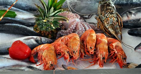 friss garnéla és előfőzött garnéla különbsége