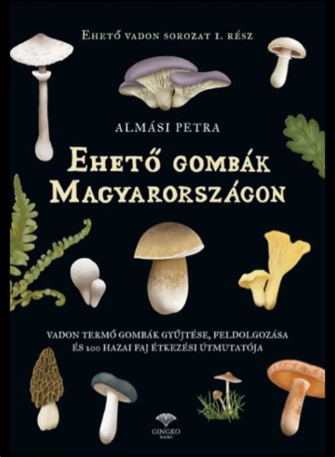 Hasonló ehető vargányafajok összehasonlítása