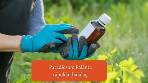 Élesztős tápoldat készítése