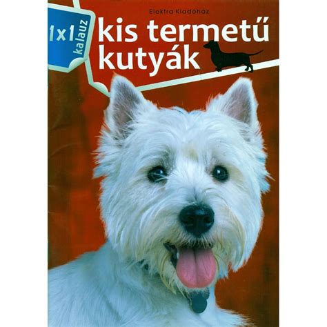 kis termetű kutya étkezés közben