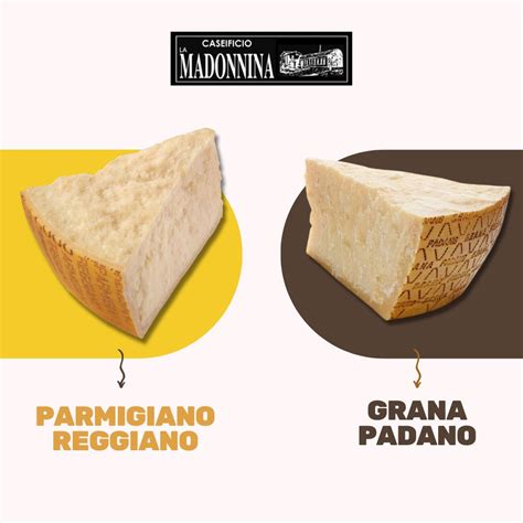 Parmigiano-Reggiano és Grana Padano összehasonlítása