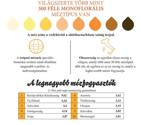 Magyar termékeket ábrázoló infografika