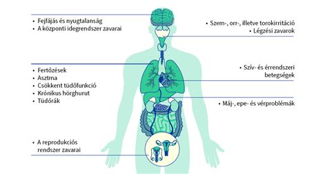 faeper gyógyító hatásai infografika