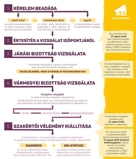 az orvosi bizottsági döntési folyamat és a szakértői szakvélemények szerepe