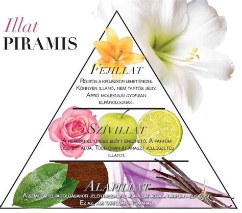 Parfüm illatpiramis