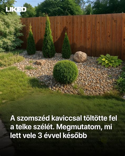 Rózsaágyás télen