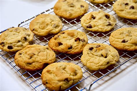 Homemade chocolate oatmeal cookies on a cooling rack