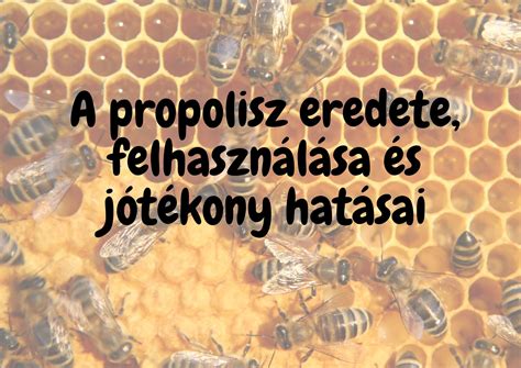 a kolbászhéj eredete és felhasználása