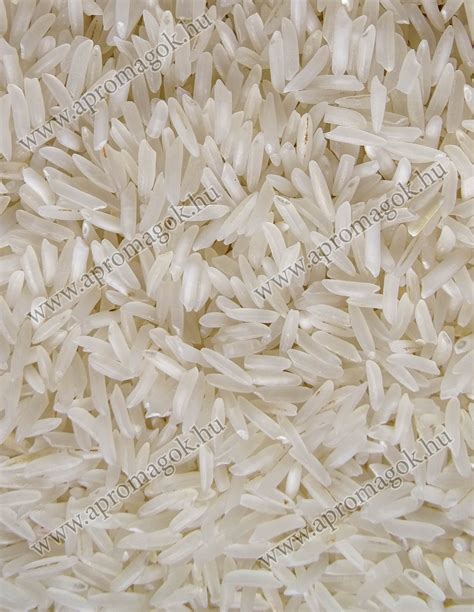 Basmati rizs szemek és növénye