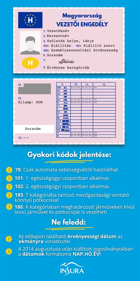 Infografika a különböző jogosítvány kategóriákról és az általuk vezethető járművekről.