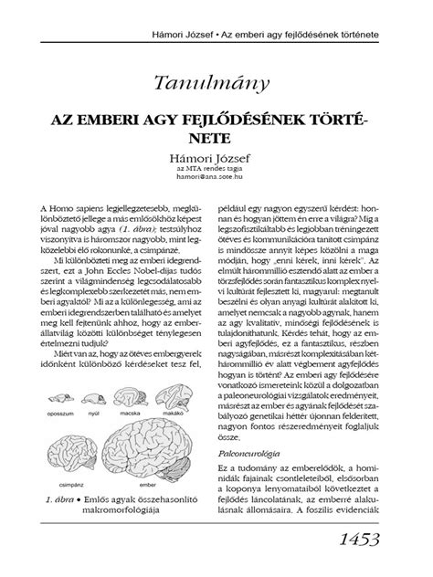 Az emberi testszőrzet fejlődésének fázisai