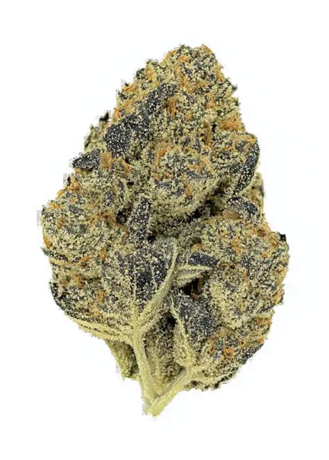 Birthday Cake Kush cannabis virágzat
