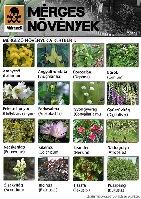közepesen mérgező növények