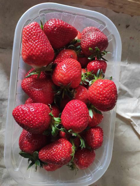 Frissen szedett eper és málna