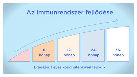 Immunrendszer fejlődésének diagramja