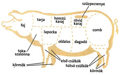 A sertés részei és azok elnevezései
