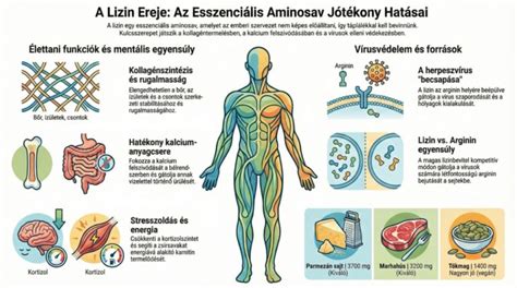 A lizin sokrétű hatásai infografika