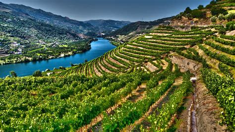Boroshordók a Douro folyó partján, Vila Nova de Gaia-ban
