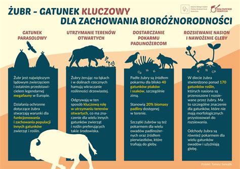 Infografika: A kukorica tápértéke