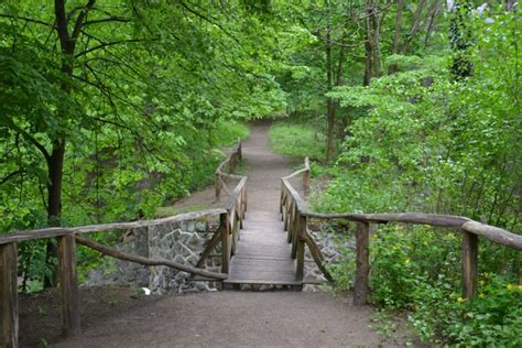 A Gödöllői Erdészeti Arborétum