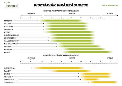 különböző húsok pácolási ideje táblázat