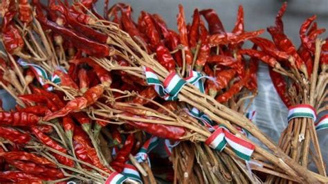 Magyar fűszerpaprika-mező