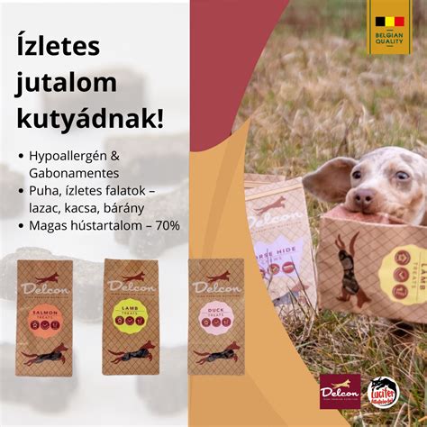Funkcionális jutalomfalatok kutyáknak