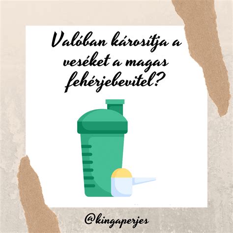 A fehérjebevitel fontosságát és forrásait bemutató infografika