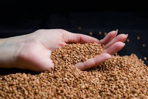 Hajdina növényről készült kép