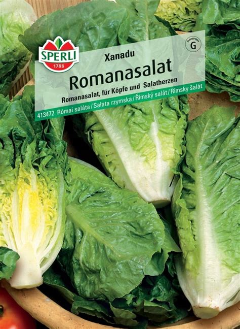 romai salata noveny