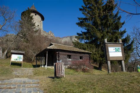 Kecskefogatok turisztikai célokra