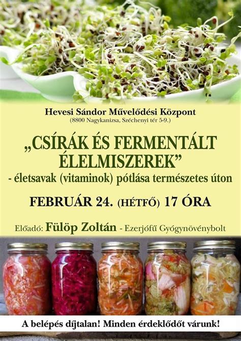 A fermentált élelmiszerek hatása az egészségre infographic
