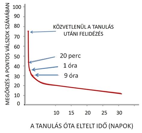 Az ideális napi folyadékmennyiség