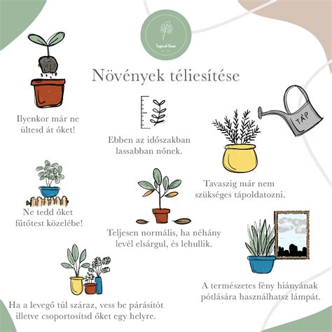Növénygondozás