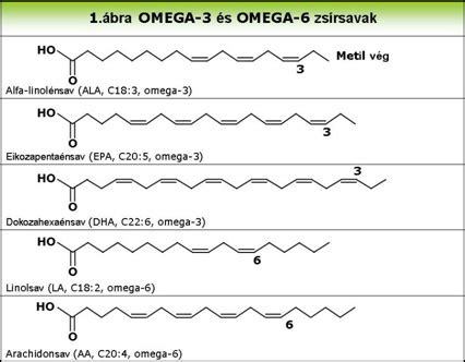 Omega-3 és Omega-6 zsírsavak aránya