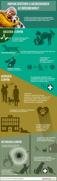 Infografika: a kalóriaszámolás előnyei és lépései