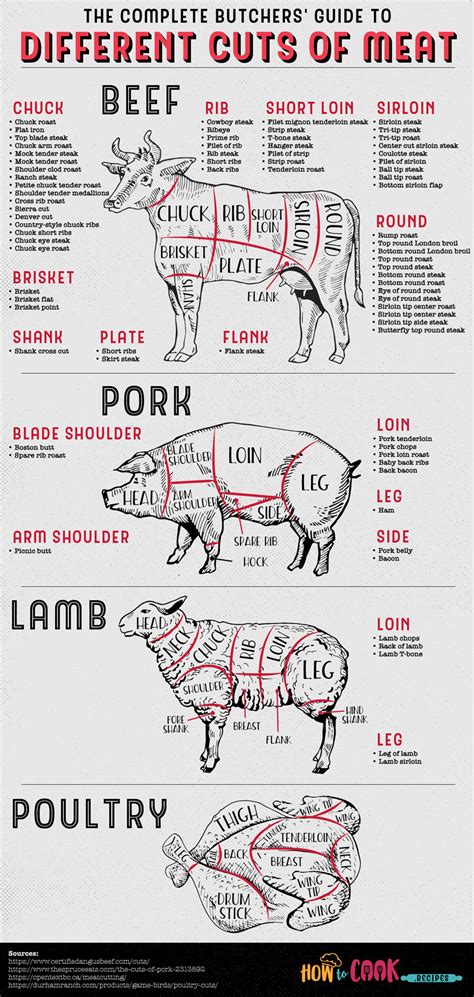 Infographic showing different cuts of meat and their kosher status