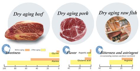 Diagram illustrating dry aging process