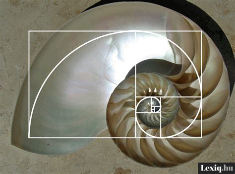 Fibonacci spirál a természetben