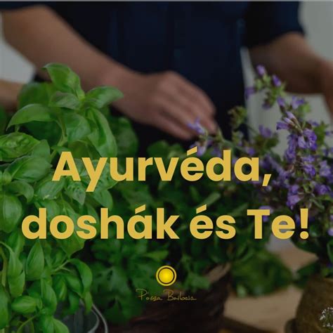 Ayurveda doshák illusztrációja