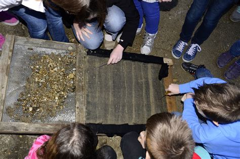 Aranymosás a Dunán