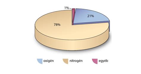 A burgonyaszirom összetevői diagram