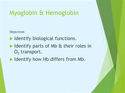 A myoglobin oxidációja és a hús színváltozásai