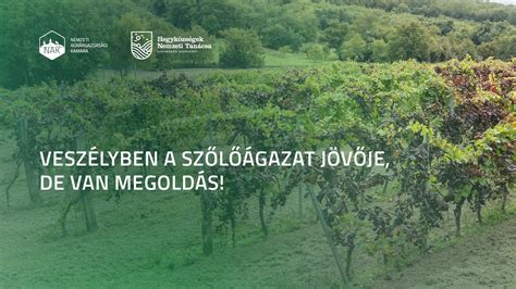 Növényvédőszer felhasználás a szőlőültetvényekben