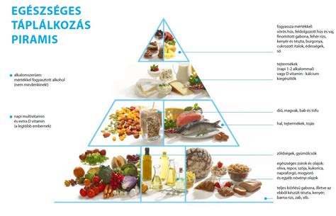 táplálkozási infografika a makrotápanyagok egyensúlyáról