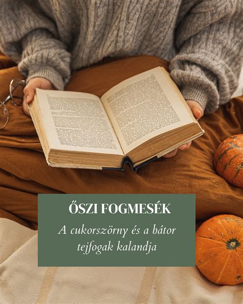 egy professzionális szmóker keresztmetszete, amely bemutatja a hőáramlást és a füst útját