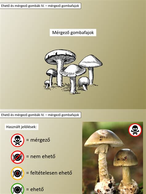Ehető díszítőelemek és csillámporok