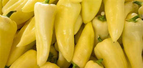 Friss Jalapeño paprikák