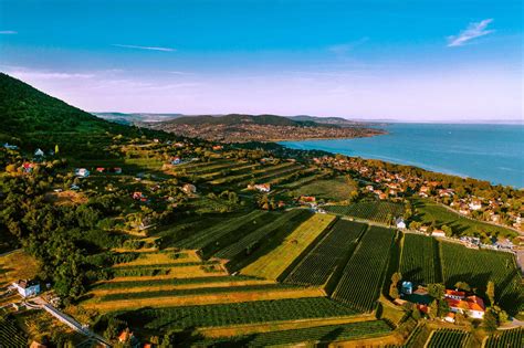 Badacsonyi borvidék panorámája